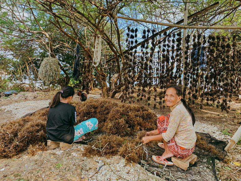 TIG-2023-MarthaAtienza_seaweed (9)